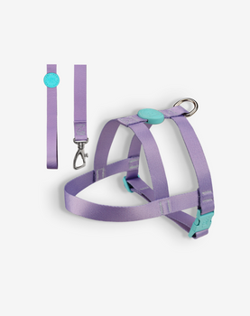 Conjunto Peitoral Tradicional e Guia Lilás